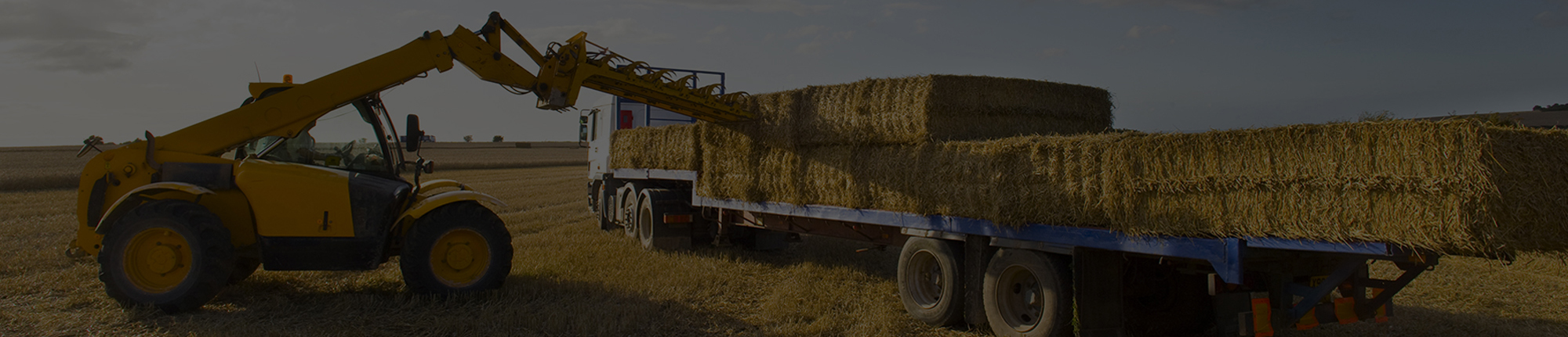 Buy equipment now!