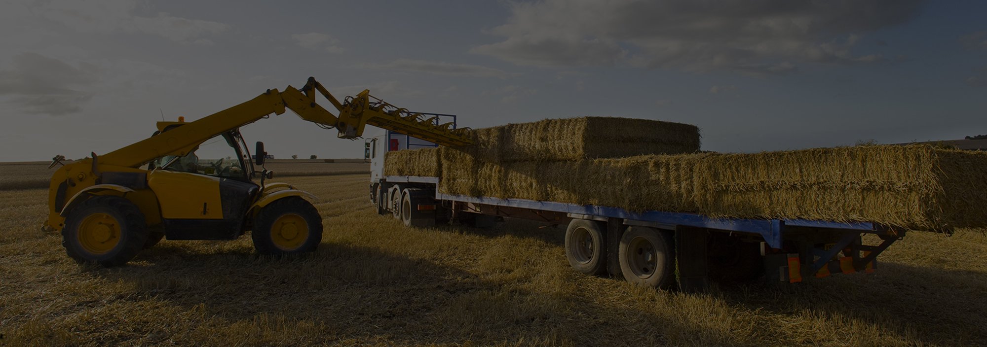 Express Equipment Inc. Buying & Selling PreOwned Equipment Holland, MI